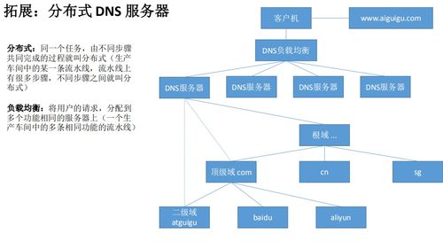 Linux云計算網絡服務基石 DNS域名系統解析與軟件定義部署